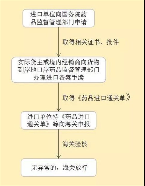 进口药品清关流程表模板详解及操作指南