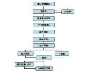 进口药品清关流程图解视频全集详解攻略