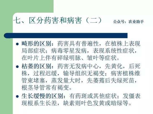 进口药品清关单图片高清版详解，了解、应用与操作指南