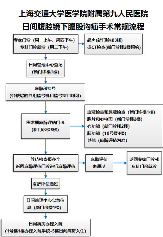 食品药品清关流程详解表格概览