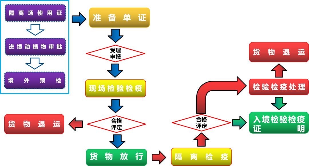 食品药品清关流程图表解读与模板图片参考