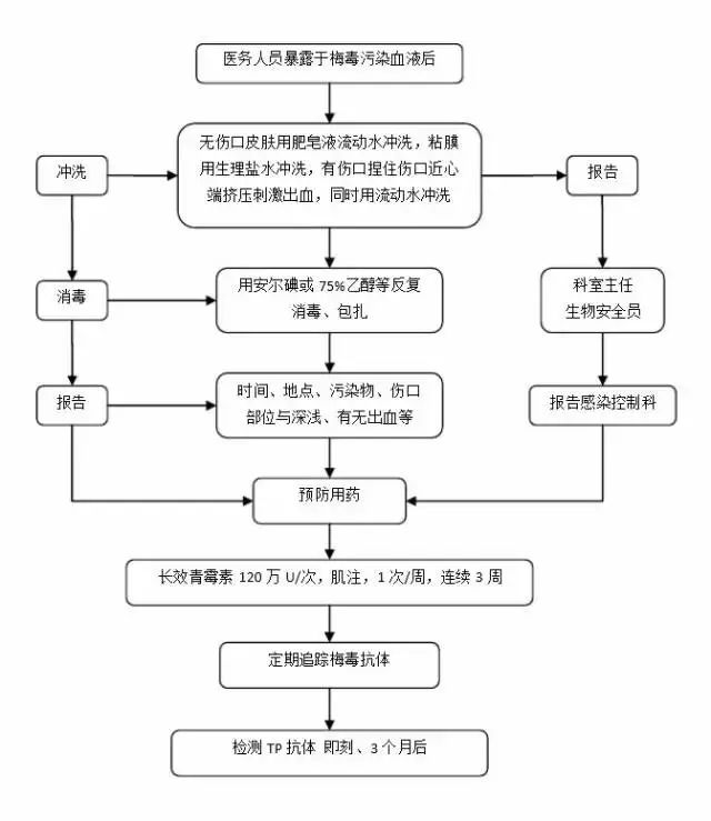 食品药品清关流程详解，视频讲解与图片辅助指南