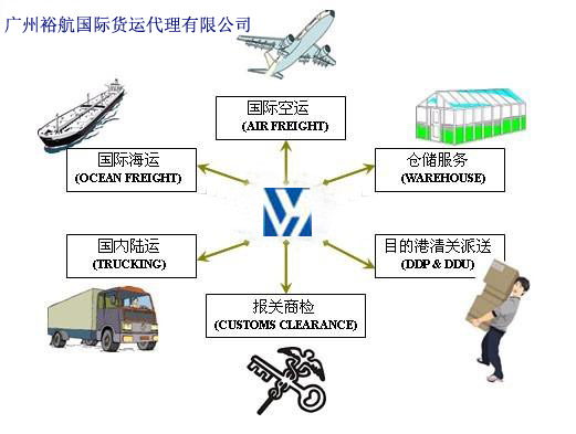 国际货运代理的范围与重要性解析