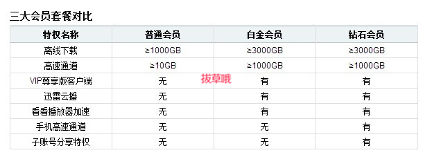 迅雷会员数量公布，揭示数字背后的趋势与前景展望