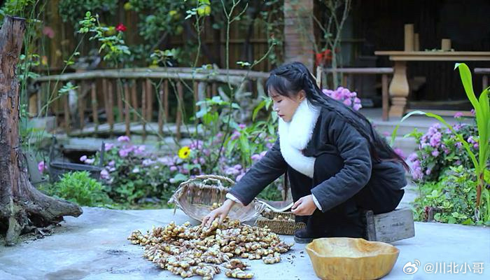 凉粉嬢嬢意外走红，李子柒背后的助推力量