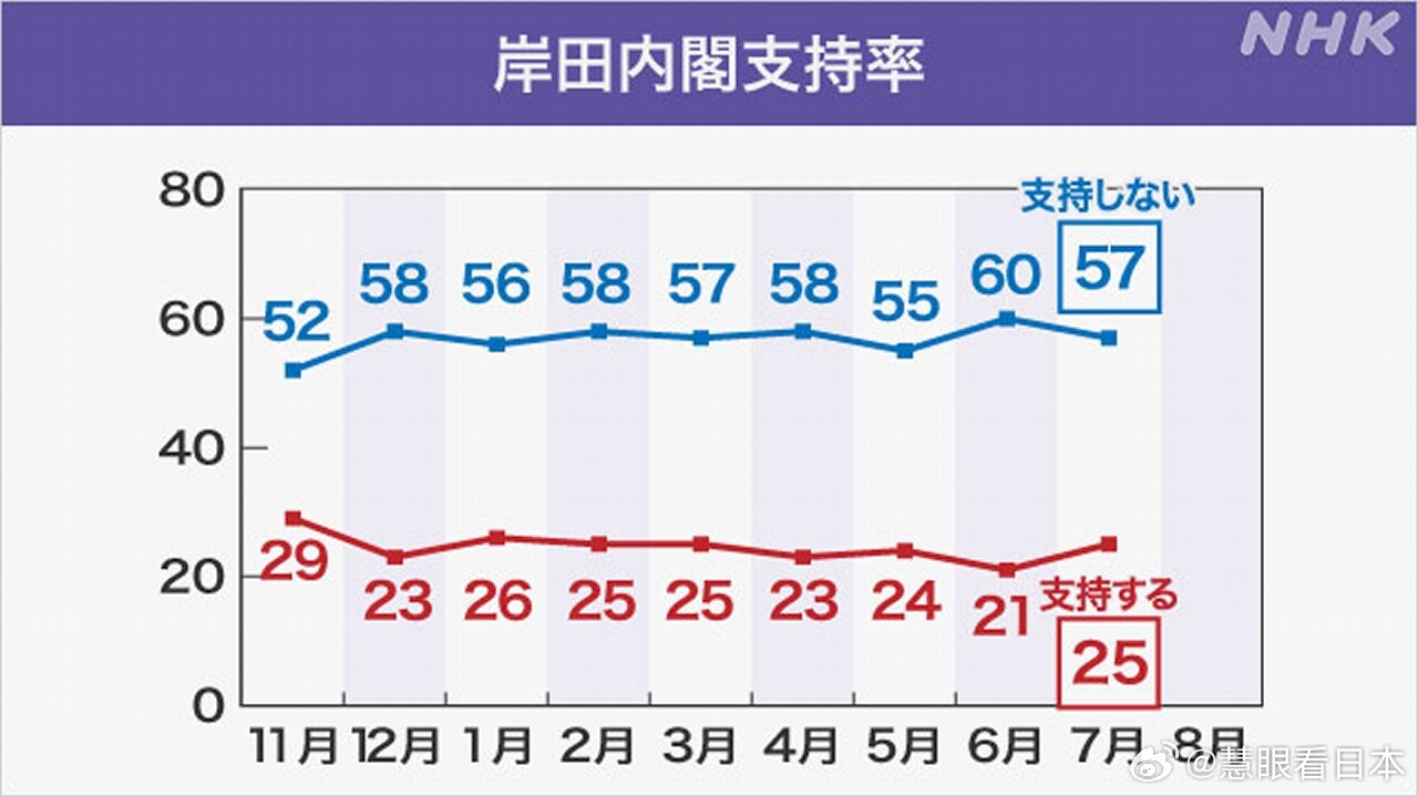 福田内阁支持率的现状与影响因素分析