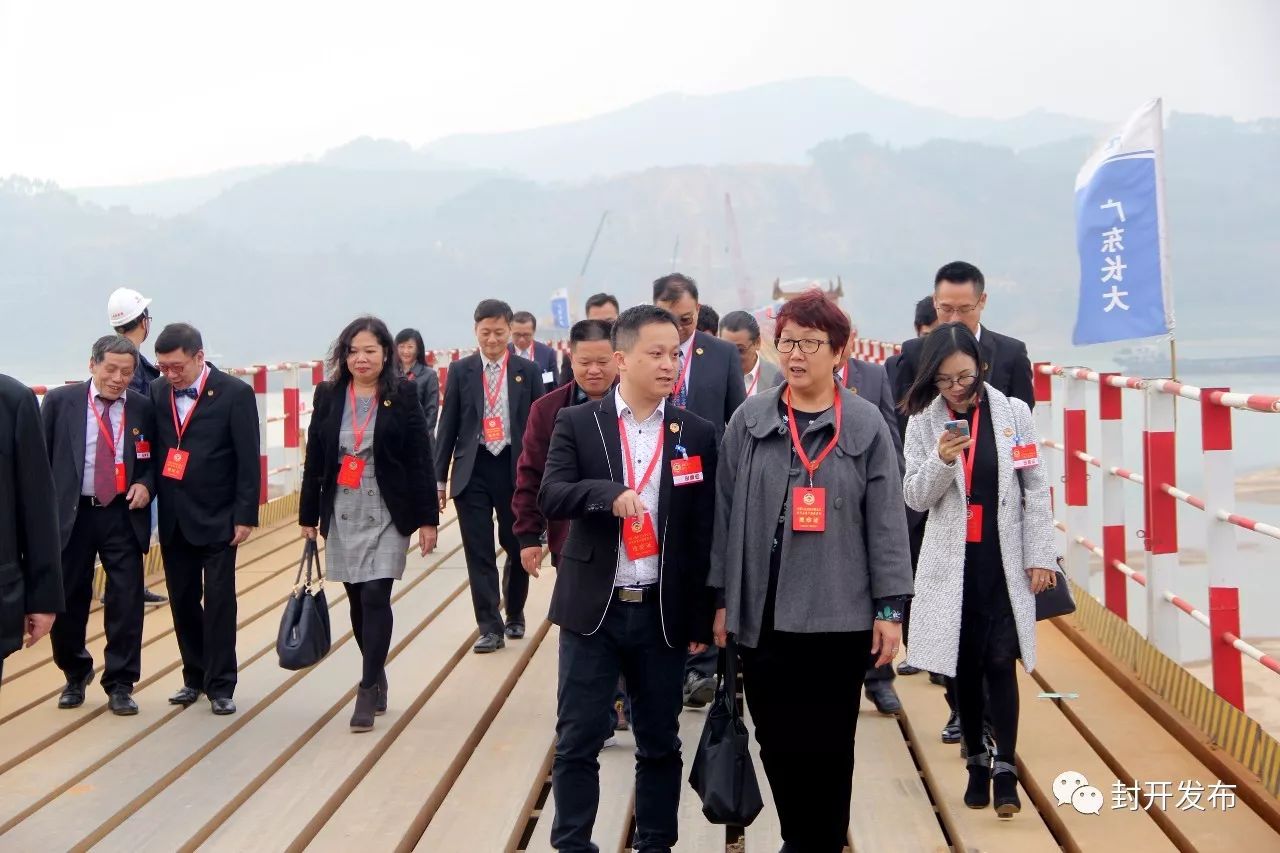 港澳地区全国政协委员一行我市视察的深刻感受与体验