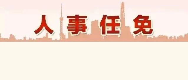 中央批准吴伟担任上海市委常委，新任领导推动城市高质量发展