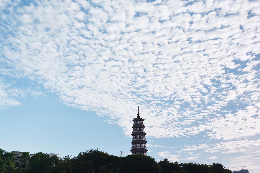 罗定，学习强国聚焦之地，亮点纷呈展风采