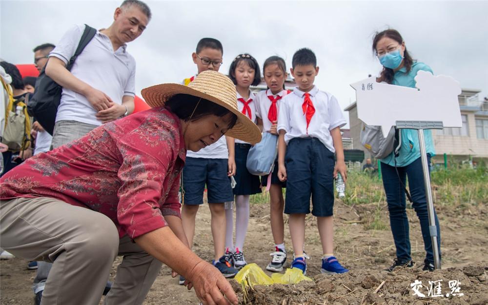 阳江市研学基地，乡村教育明珠，每日吸引数百名学生探访