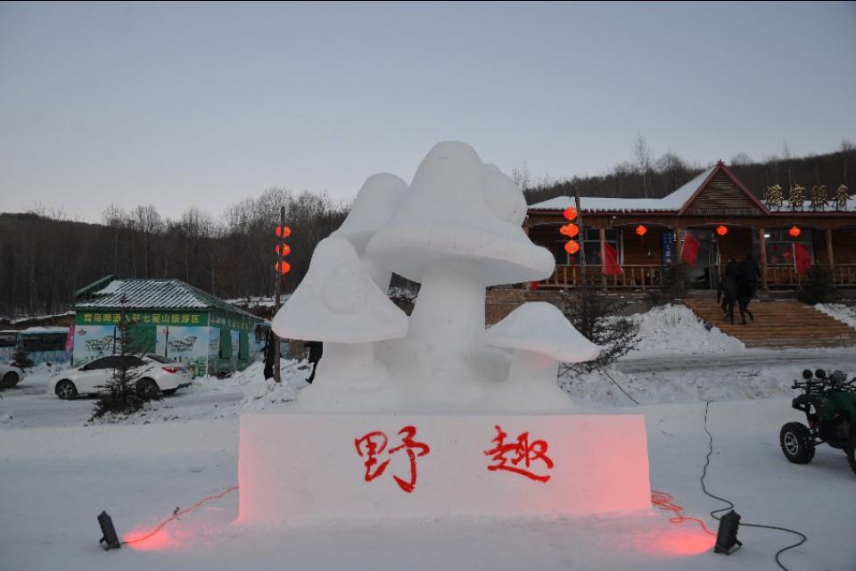 辽宁省冰雪运动蓬勃发展，凝心聚力推动冰雪运动发展之路