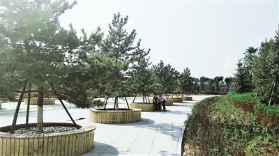 西城公园，荒地变绿洲，城市绿化典范荣获国际金奖