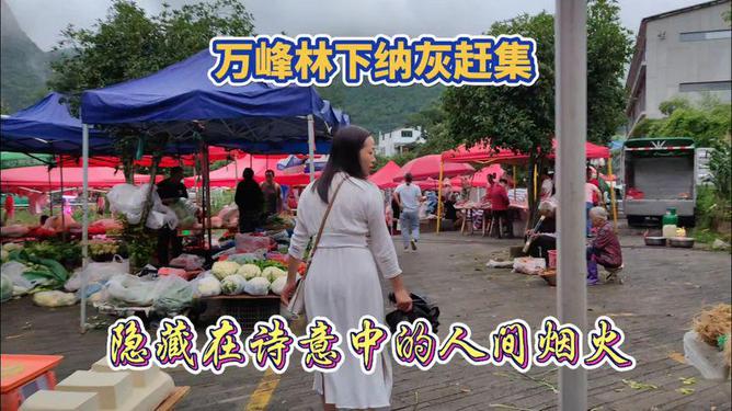 江西安远双芫乡政策宣传集市活动，文明实践温暖人心