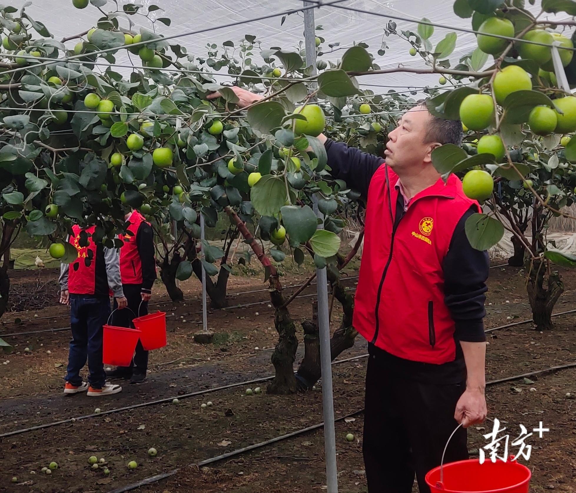 南方日报·中山观察聚焦中山经济一线热度，电商竞争与出海扬帆的奋斗篇章