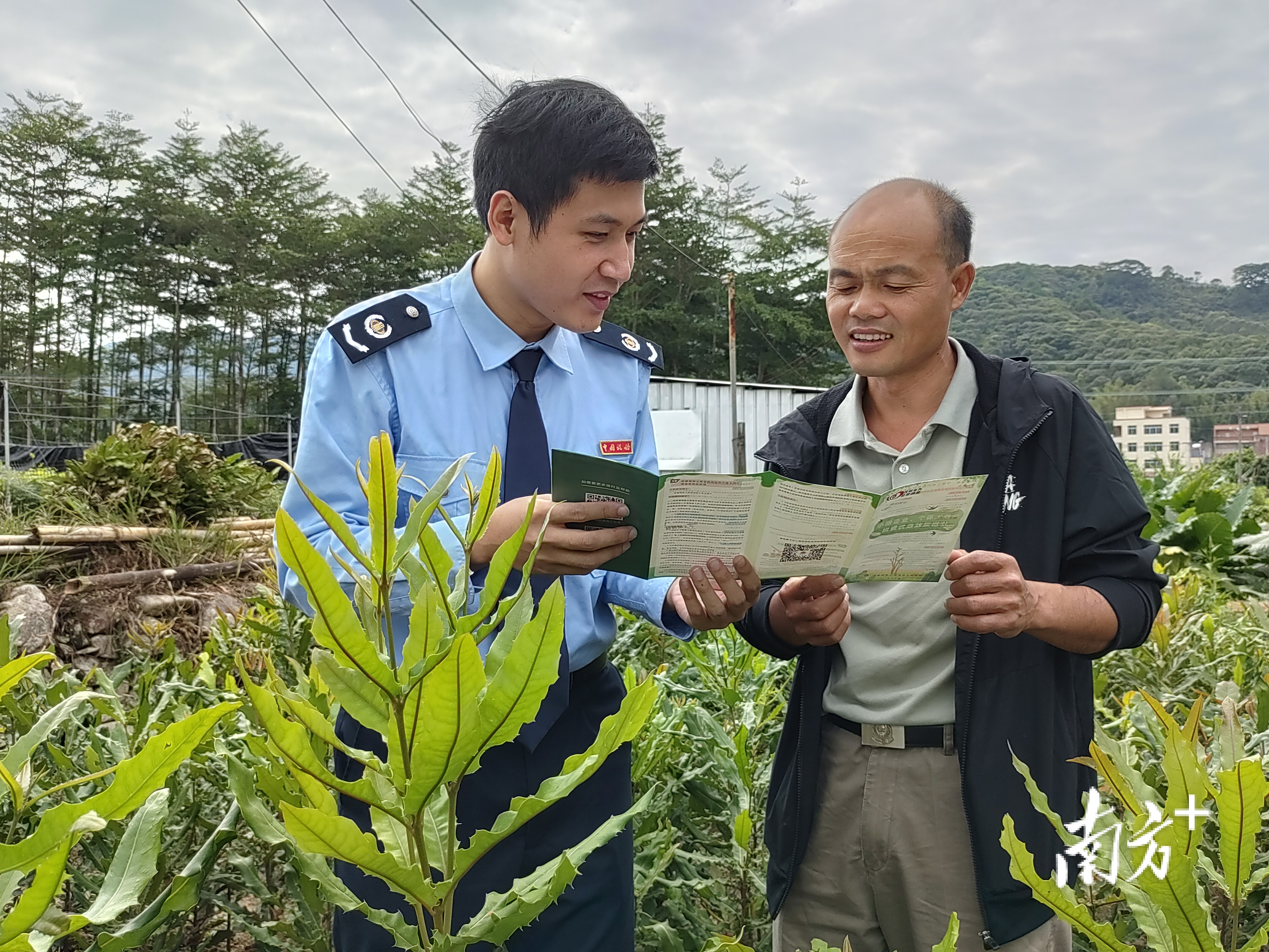 汕尾税务助力土特产成富民增收金招牌——税收助力特色产业蓬勃发展