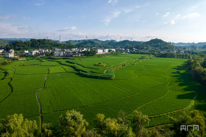 黔西市洪水镇田野美景如画展