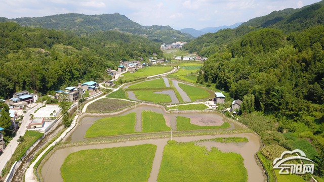 忠县独珠村变形记，山水林田湖草沙保护修复之旅