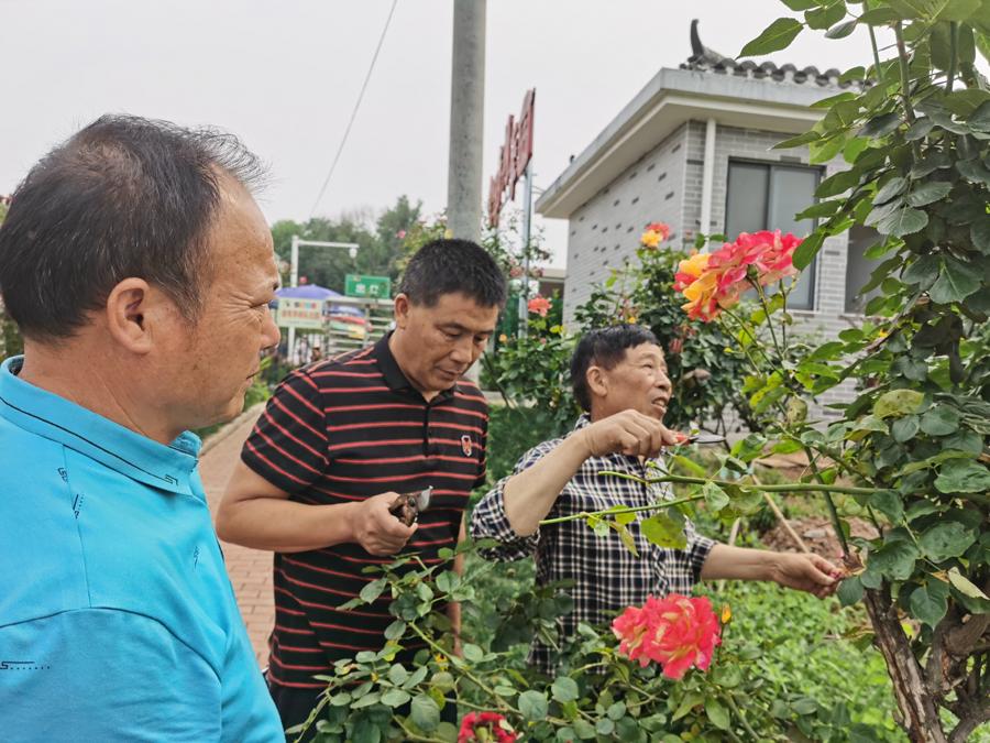 珠晖区与衡阳师范学院携手合作，共绘校友经济发展新篇章