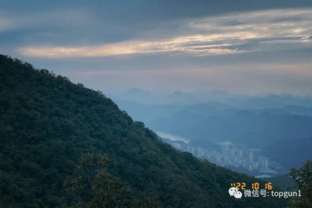 杭州萌态小熊猫幼崽，城市和谐共生的使者