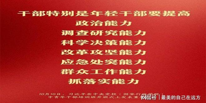 年轻干部培养管理的优化策略或解决方案