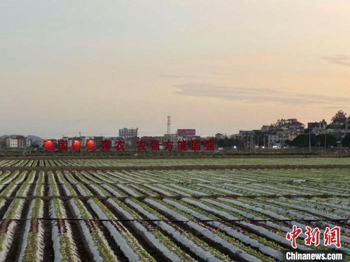 泉州全域土地整治，乡村振兴与城乡融合共创双赢实践