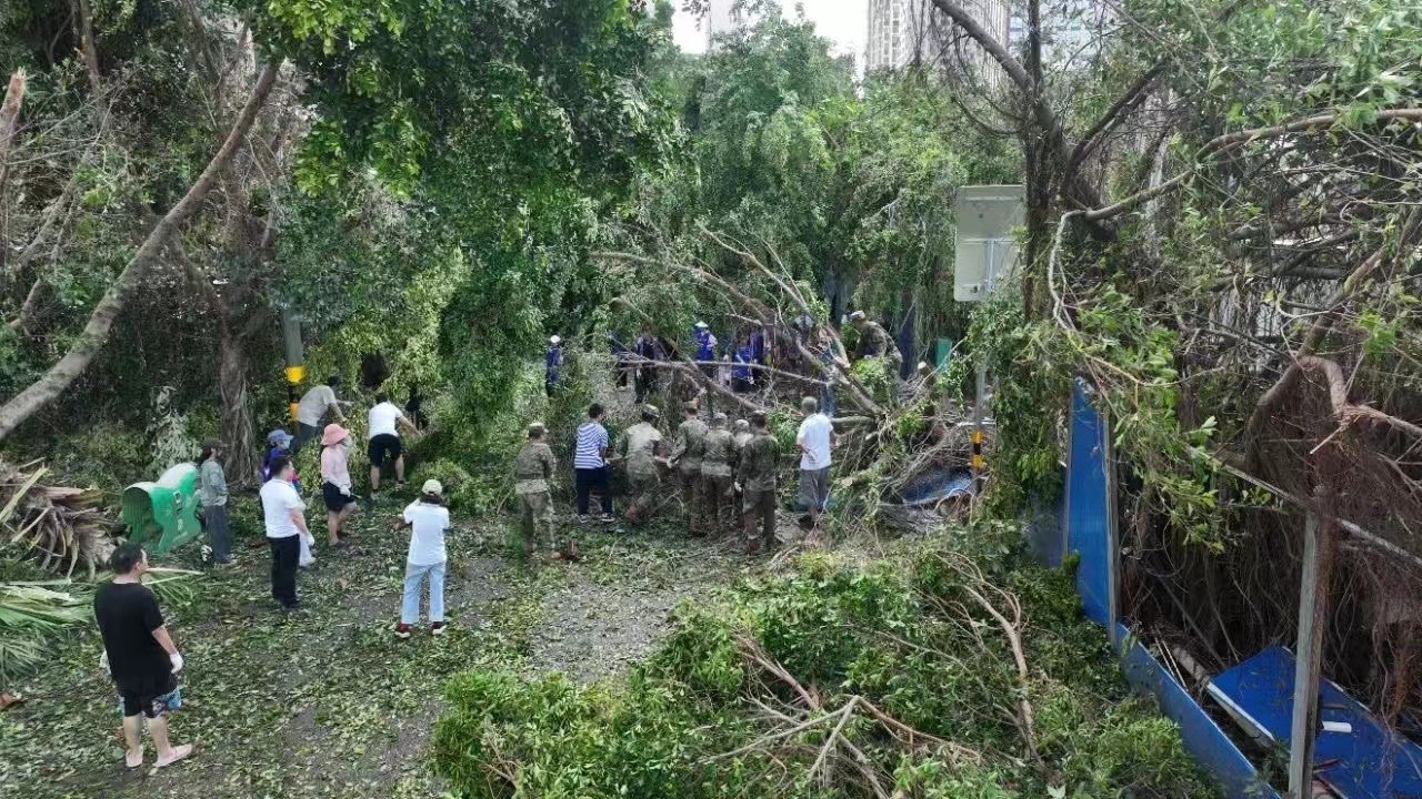 台风过后海口金盛达建材城附近应急响应与市民反馈