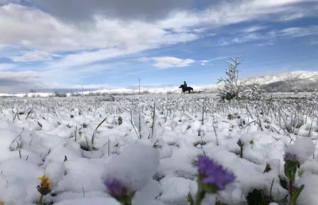 四季打卡必去网红大雪人景点