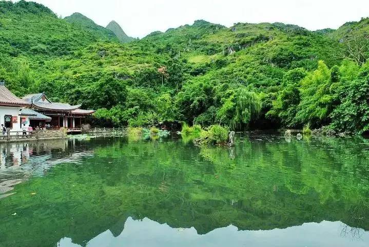 避暑胜地安顺获赞，夏日尽享清凉美好时光