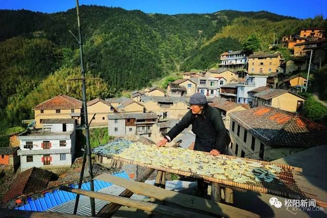 松阳两大基地卓越建成，展现卓越发展范式