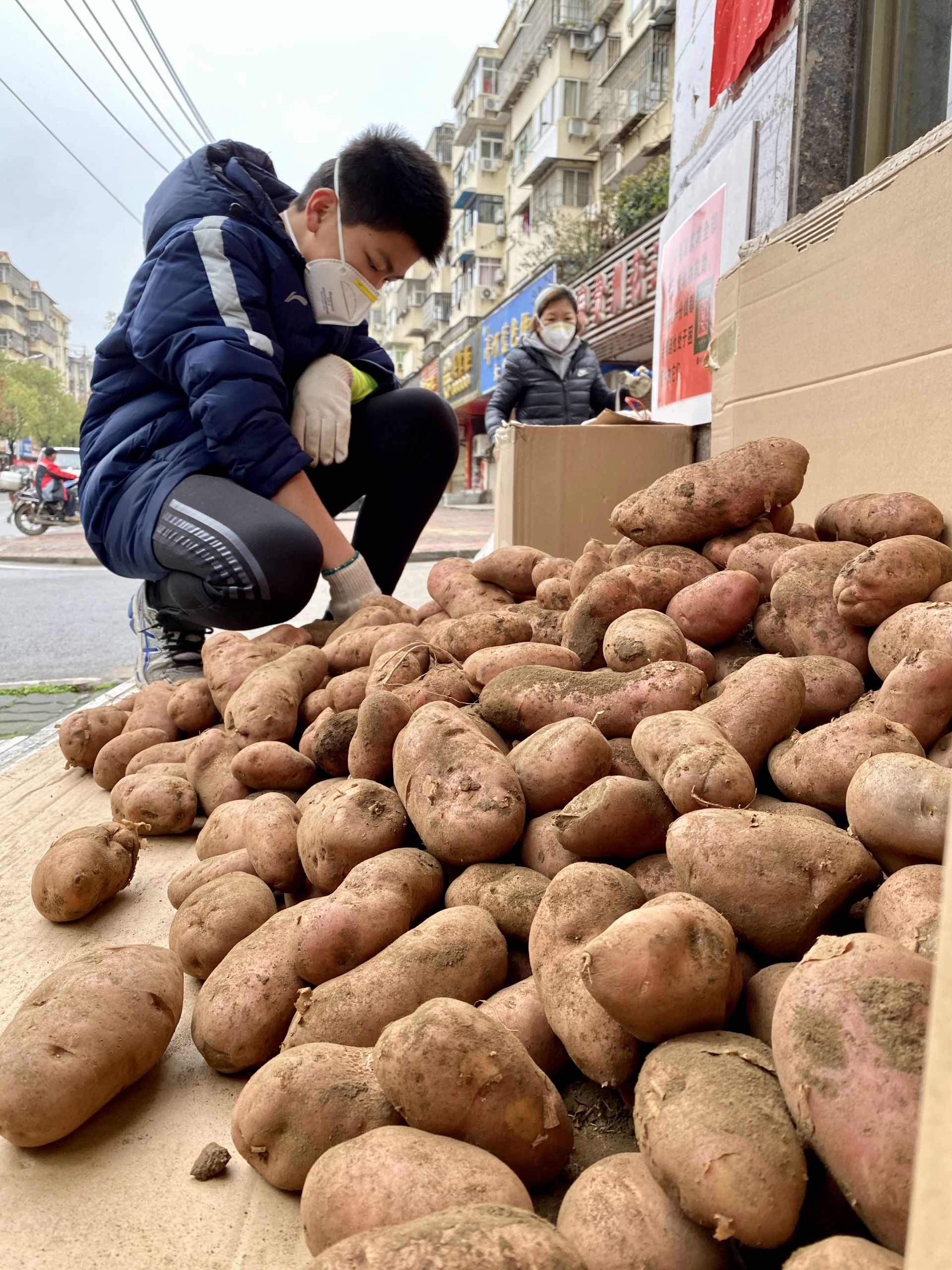 蚌埠爱心红薯掀起抢购热潮