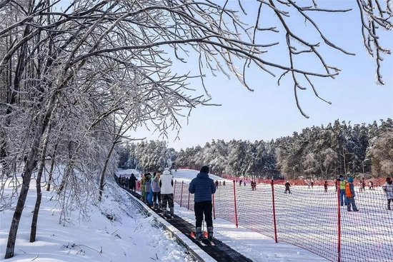 净月高新区，主线引领联动共融，开启冰雪产业盛宴！