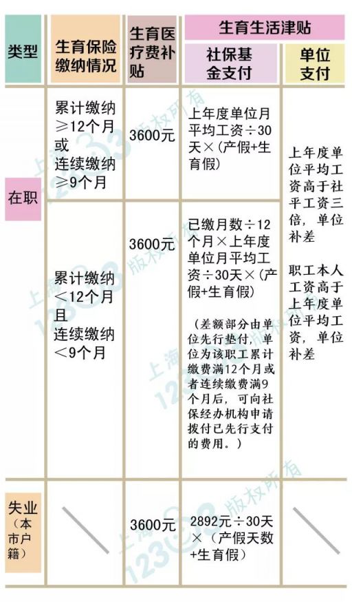 大学生生育补助政策现状与解析