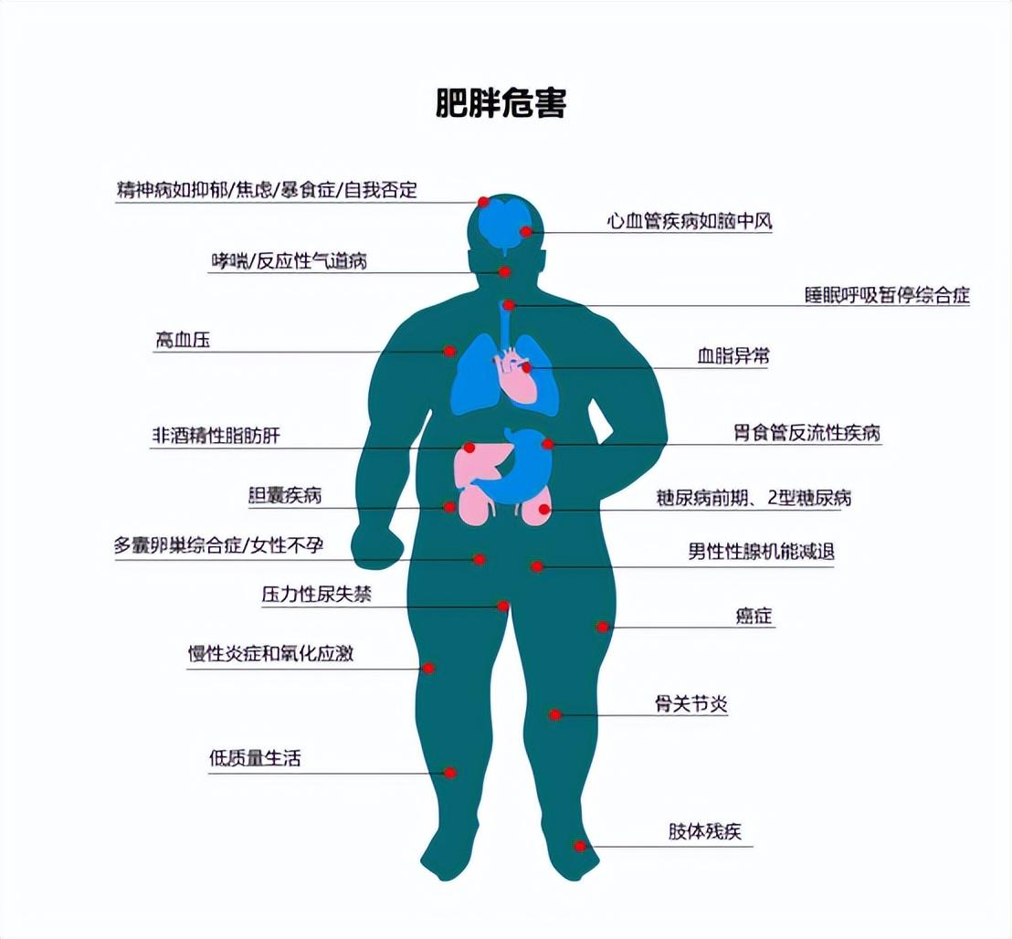 航天员的危险与挑战，探索宇宙的代价