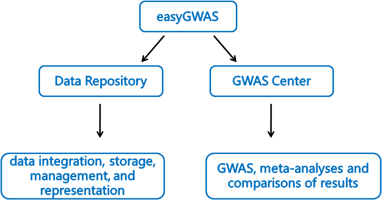 揭秘GWAS，定义、原理与应用领域探索