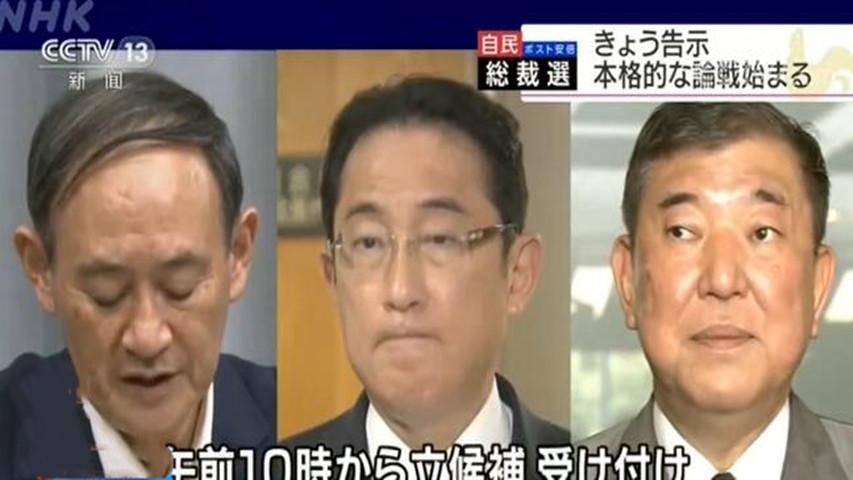 日本政治风云揭秘，岸田文雄首相的去留问题深度解析